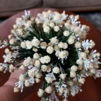 دسته گل شکوفه در حد نو