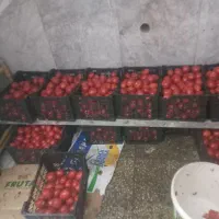 گوجه