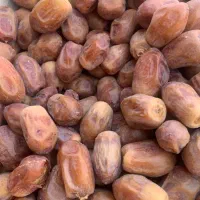 فروش خرمای زاهدی درجه یک