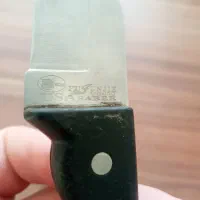 چاقو امریکایی|کوهنوردی و کمپینگ|بجنورد, |دیوار