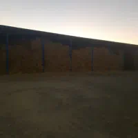 کارگر گاوداری صنعتی