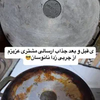 شوینده نانو|مواد شوینده و دستمال کاغذی|همدان, |دیوار