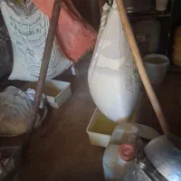 چکیده گوسفند