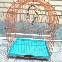 قفس پرنده|لوازم جانبی حیوانات|طبس, |دیوار