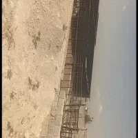 گاوداری-بیدزرد
