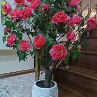درختچه مصنوعی