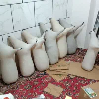 نی انبان یا نی همبون خام|سازهای بادی|بوشهر, |دیوار
