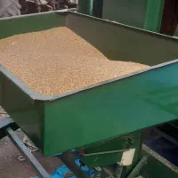 بذر گندم رقم آرمان بوجاری و ضد عفونی شده آزادشهر|عمده‌فروشی|آزادشهر, |دیوار