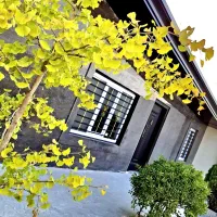 باغ و باغچه بنا دار