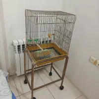 قفس پرنده