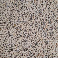 حبوبات درفروشگاه عبادی ارزانتر شد،چیتی۲۸۵۰۰۰ تومان|خوردنی و آشامیدنی|تبریز, |دیوار