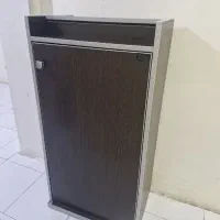 جا کفشی