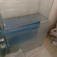 فوری۵۰۰ ت آکواریوم|ماهی|گلپایگان, |دیوار