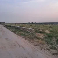 زمین-باغی
