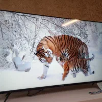 ایکس ویژن ۴۳اینچ هوشمند|تلویزیون و پروژکتور|تبریز, |دیوار