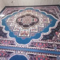 قالی|فرش|بانه, |دیوار
