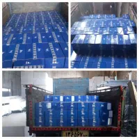 پخش مستقیم انواع پیچ پنل و پیچ سازه کناف قیمت عمده