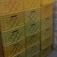 سبد مخصوص حمل مرغ گرم و منجمد