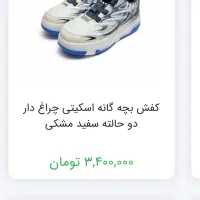 کفش پسرانه اسکیتی|دوچرخه، اسکیت، اسکوتر|شاهین‌شهر, مخابرات (شهید بهشتی)|دیوار