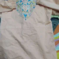 پالتو گل‌بهی سایز دو|لباس|شیراز, دباغ خانه|دیوار