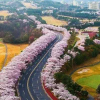 کارمند بانک