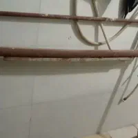 دار قالی سالم