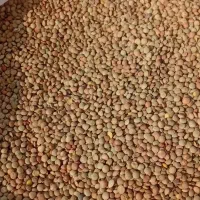 چیتی خمین