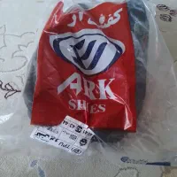 کفش کار