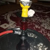 قیلون