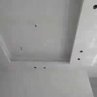 نیازمند همکار نقاش