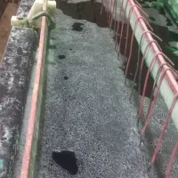 همکار آقاو خانم جهت ابکاری ۱۰ دقیقه فاصله اراک