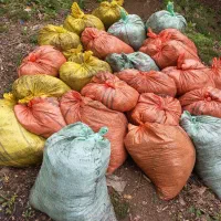 فروش کود حیوانی گاو|خدمات باغبانی و درختکاری|املش, |دیوار