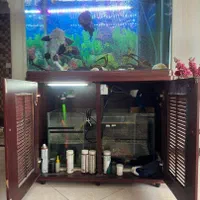 آکواریوم با ماهی و لوازم|ماهی|پردیس, فاز ۴|دیوار