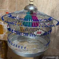 قفس سهره خاکی