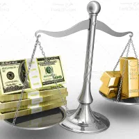 استخدام نیروی پشتیبان