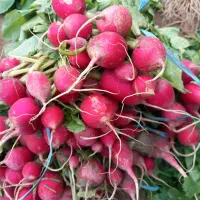 سبزی تازه - کلی - جزیی|خوردنی و آشامیدنی|تهران, افسریه جنوبی|دیوار