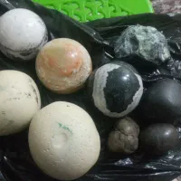 اشیا آنتیک یاقوت گردنبند سنگ مروارید انگشتر|کلکسیون اشیاء عتیقه|تهران, بوستان ولایت|دیوار