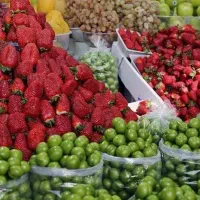 صندوق دار خانم