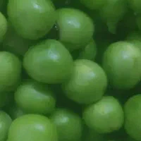 نخود فرنگی دون شده