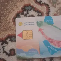 کارت سوخت پیداکردم