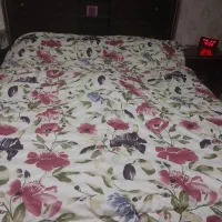 سرویس تخت حواب