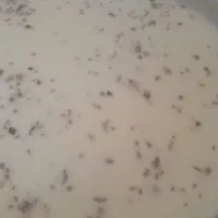 کره و دوغ محلی|خوردنی و آشامیدنی|بیلوار, |دیوار