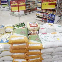 عرضه برنج هندی