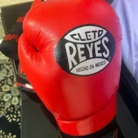 دستکش بوکس|تجهیزات ورزشی|بهارستان, |دیوار