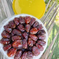 خرما کبکاب دستچین شده دشتستان|خوردنی و آشامیدنی|تهران, زعفرانیه|دیوار