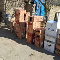 کارتون خالی