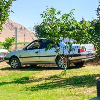 پژو ۴۰۵ مدل ۹۰|خودرو سواری و وانت|نهاوند, |دیوار