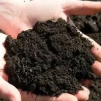 کود گاوی ارگانیک خالص مستقیم از دامداری