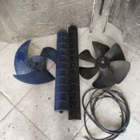 بلور و پروانه
