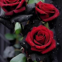 کارت ملی گم شده